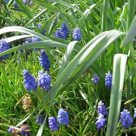 Treliver Farm