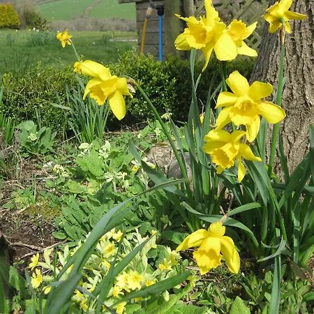 Treliver Farm Bed & Breakfast 4*