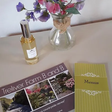 Treliver Farm Bed & Breakfast Saint Wenn